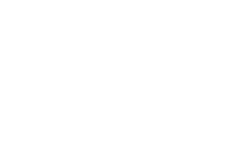 Air Ocean Cargo Corp